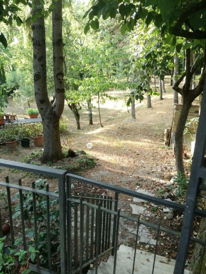 Casa Della Nonna Leilighet Radicofani Eksteriør bilde